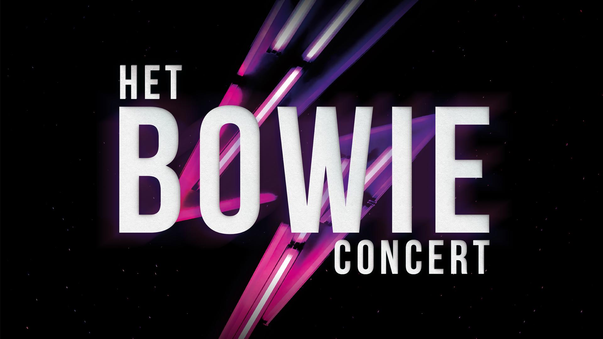 Het Bowie Concert